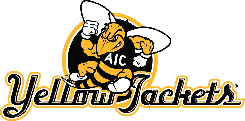 aic yellow jackets 2009-pres alternate logo v4 DIY iron on transfer (heat transfer)